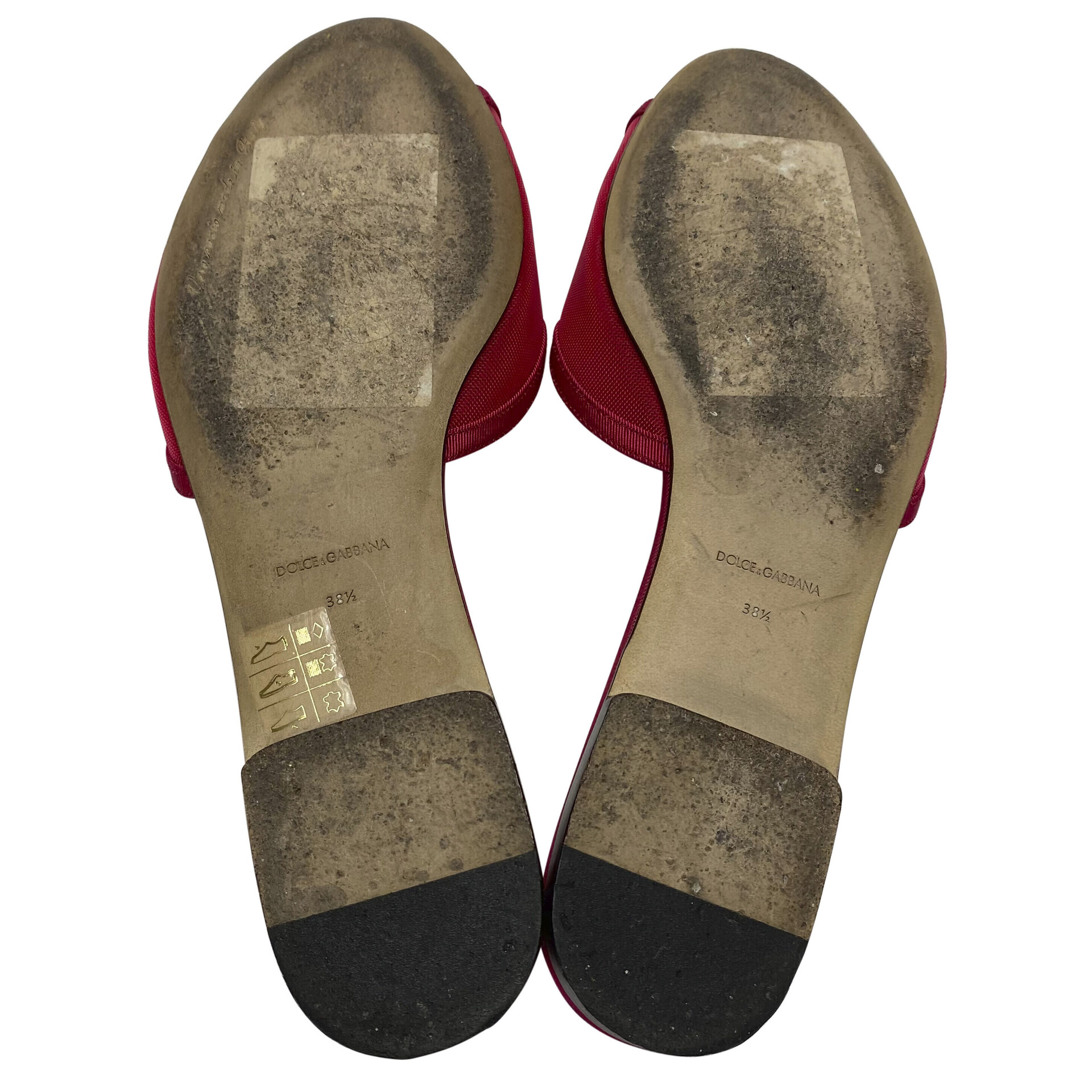 Mule Dolce & Gabbana Rosa