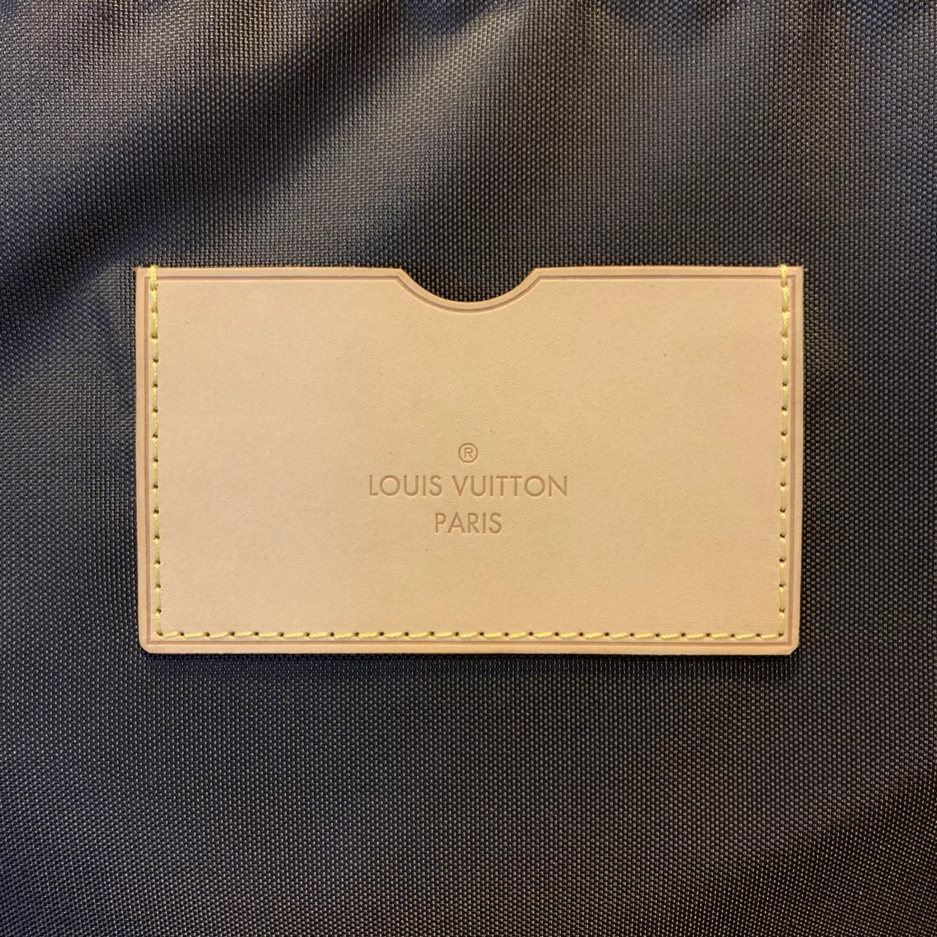 Mala de Bordo Louis Vuitton Pegase 55