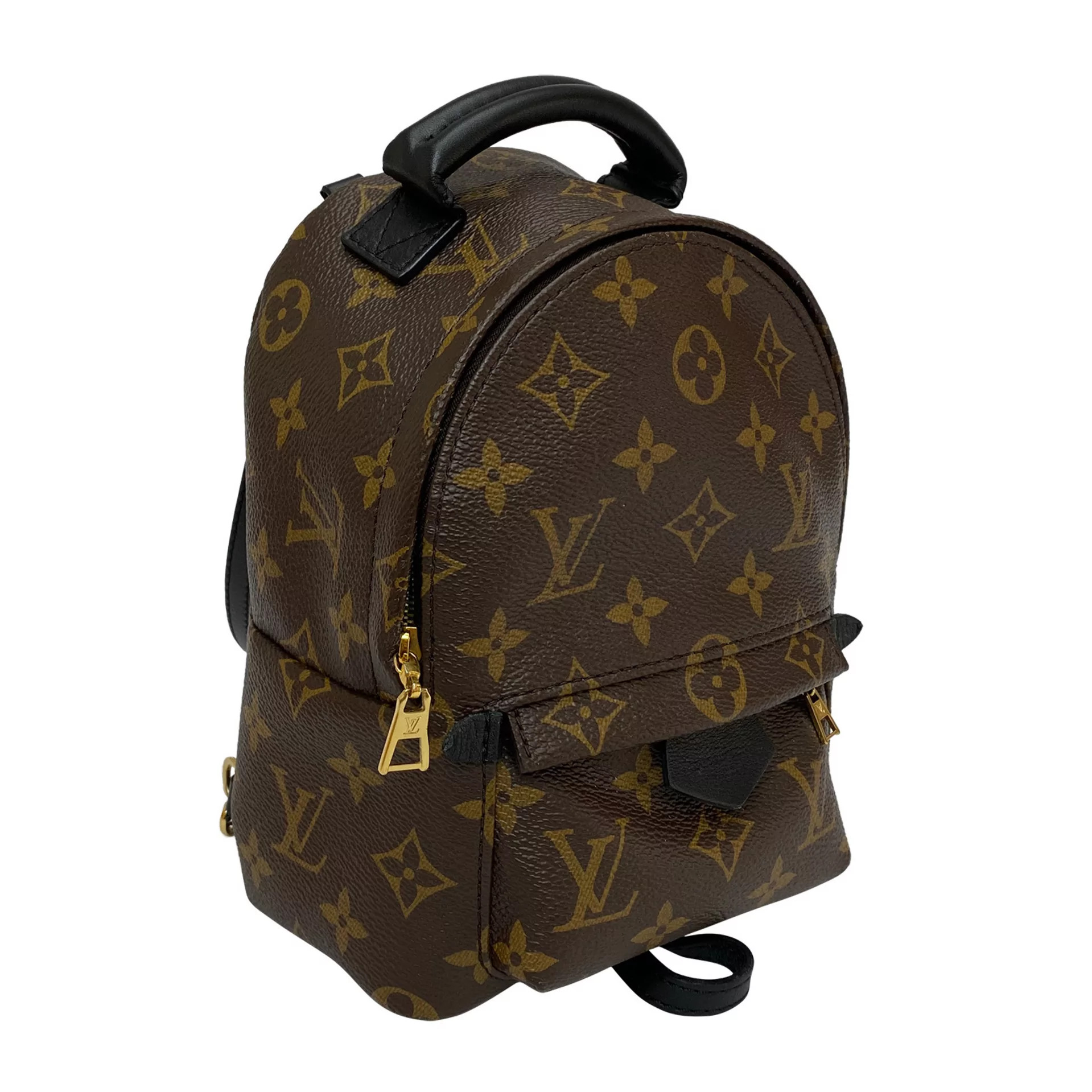 Mochila Louis Vuitton Palm Springs Mini 