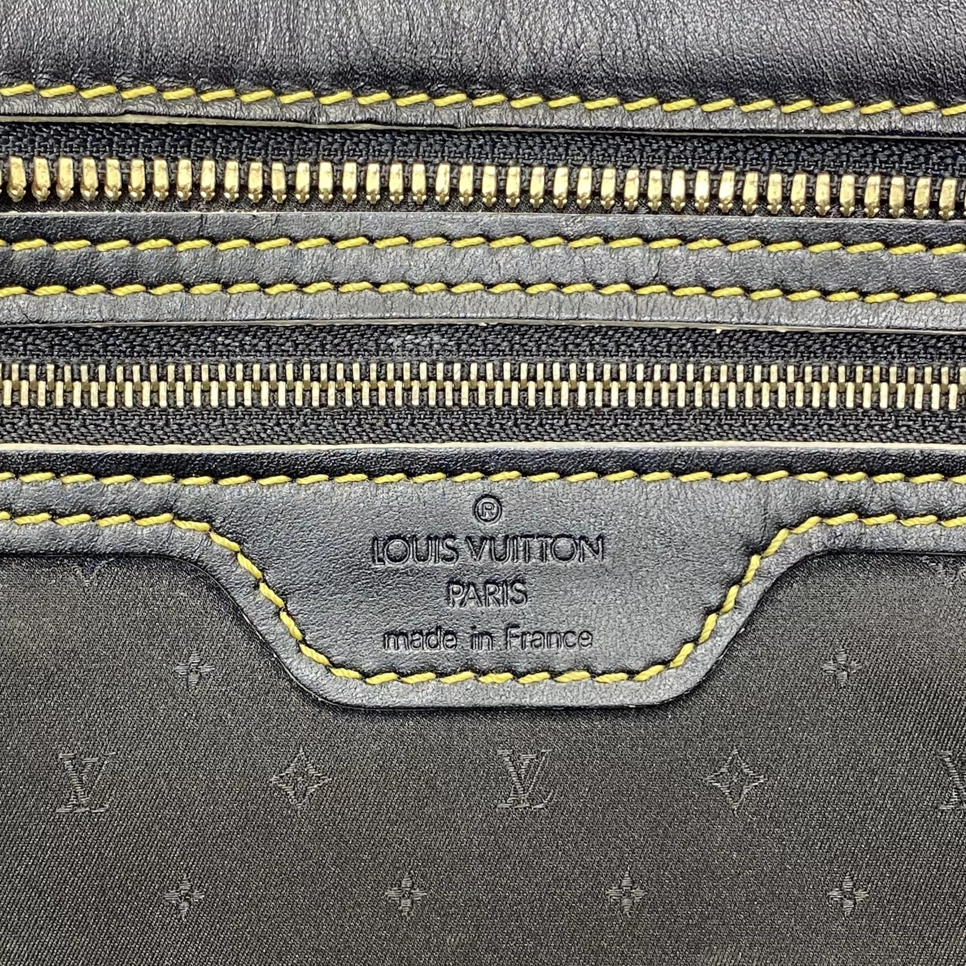 Bolsa Louis Vuitton Epanoui PM