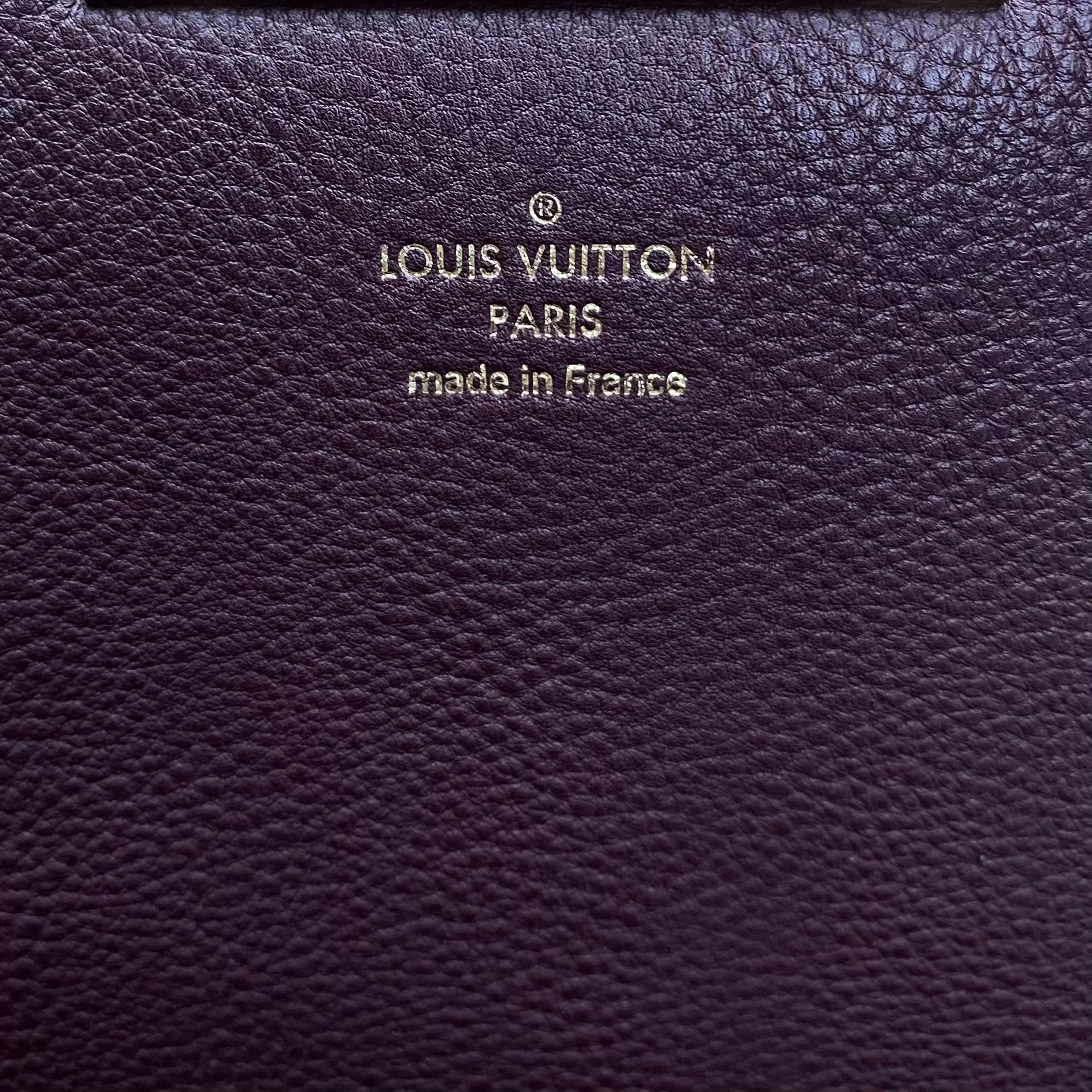 Bolsa Louis Vuitton Olympe Monogram