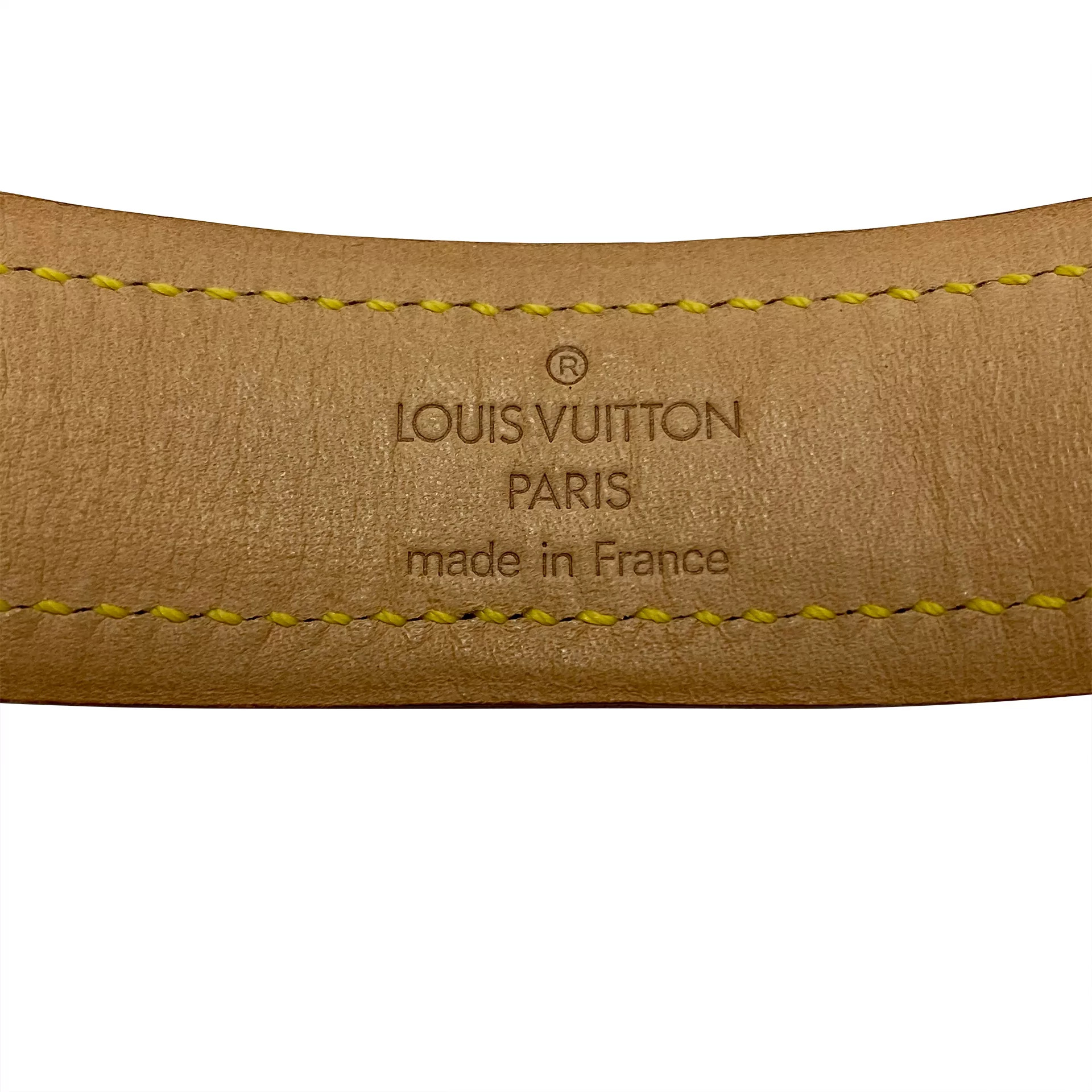 Conjunto Louis Vuitton - Guia + Coleira