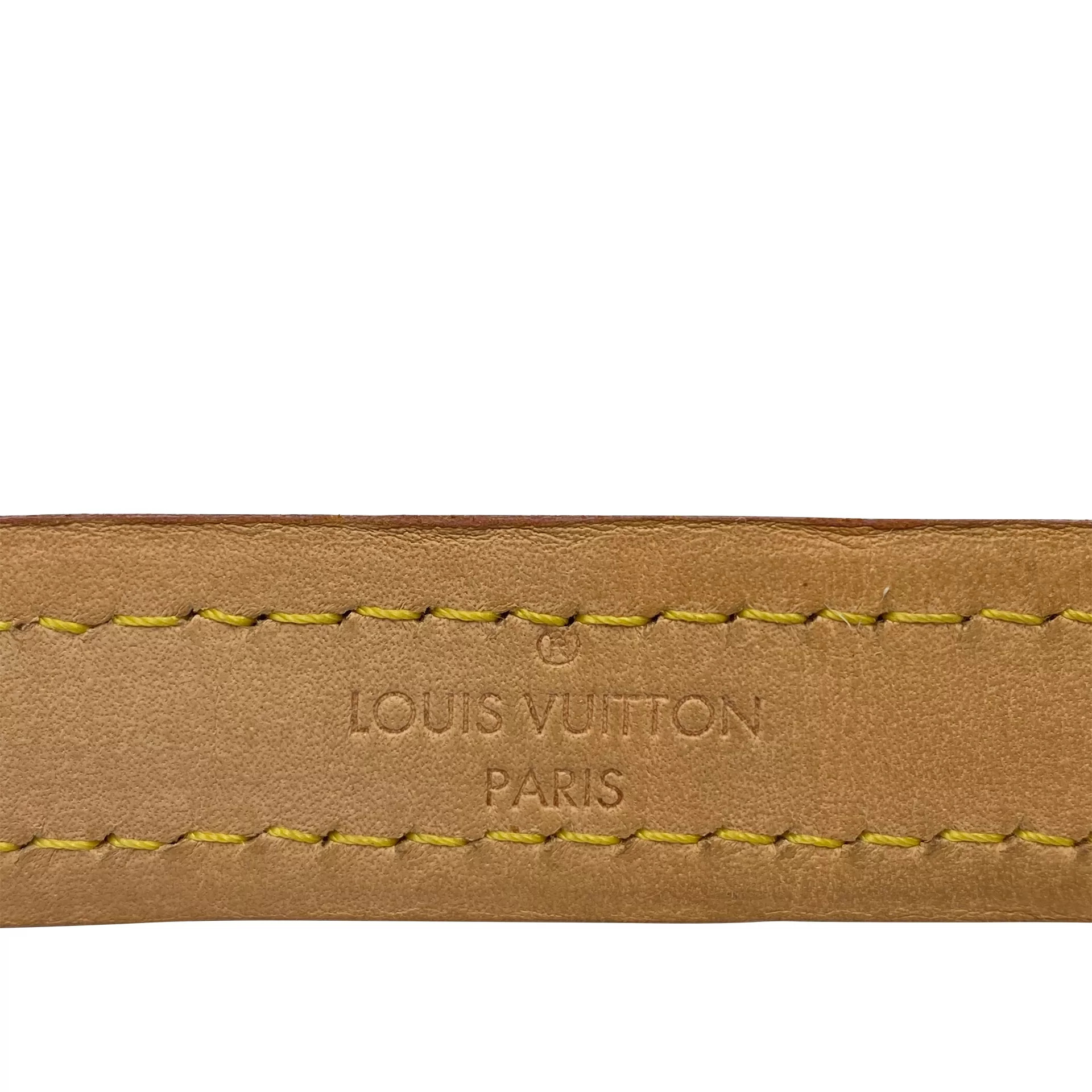 Guia para Coleira Louis Vuitton