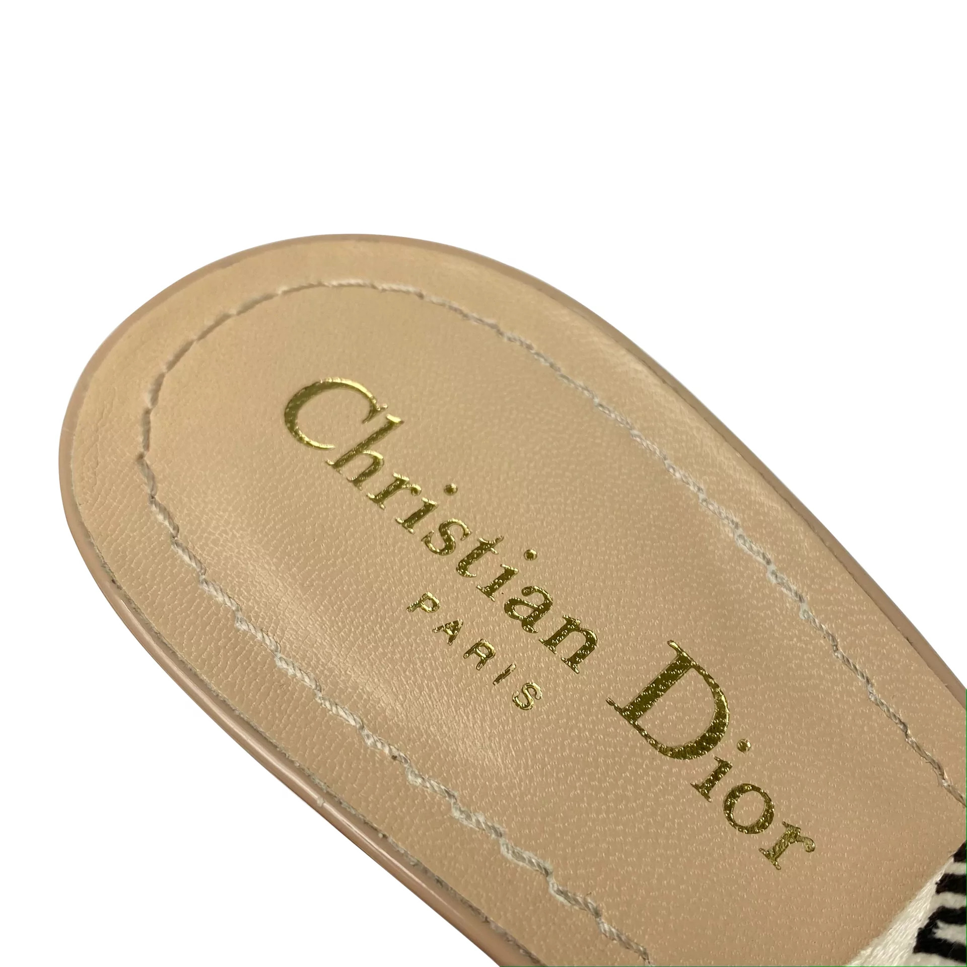 Sapato Christian Dior J'adior